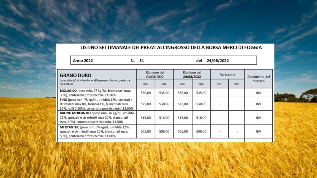 Grano duro, prezzo invariato. Borsa Merci Foggia quotazioni restano a