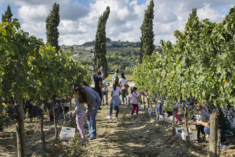 Torna Cantine Aperte a San Martino 2022 l’evento di MTV