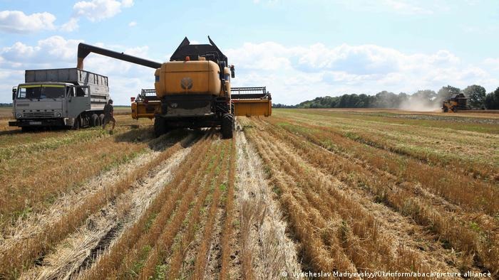 Ucraina. Ecco come l’invasione russa sta cambiando i raccolti degli agricoltori