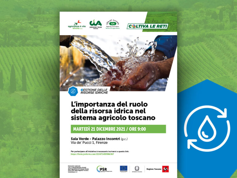Risorsa idrica, in arrivo 4 milioni di euro per progetti irrigui Cia: senza acqua non c’è futuro per agricoltura toscana di qualità