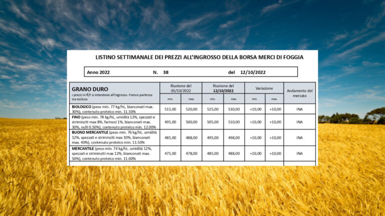 Grano duro: aumento di 10 euro a tonnellata. Borsa Foggia: il Fino arriva a 510 il biologico a 510