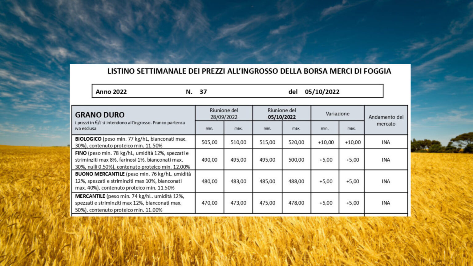 Quotazioni grano duro +5 euro a tonnellata alla Borsa di Foggia