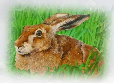 La biodiversità nell’arte. In mostra dal 22 ottobre a Monticiano (Si): il ricavato delle opere per Oasi WWF