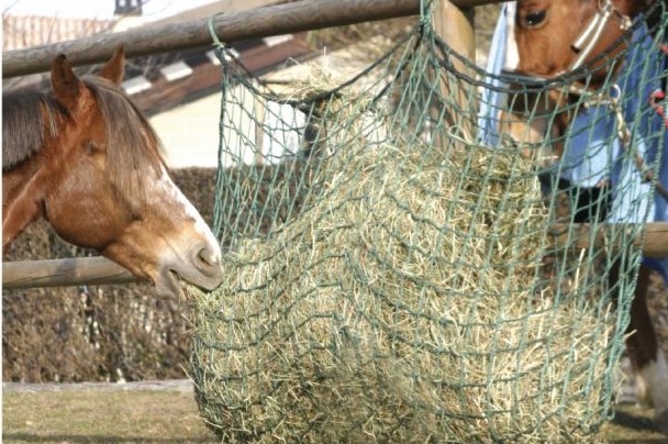 Pensare al risparmio. Badifarm: zero sprechi di fieno, le soluzioni in box  e paddock