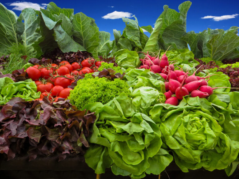 Ortofrutta. Calano gli acquisti del 20%. Le patate perdono di più (-7%). Il clima condiziona prezzi e volumi