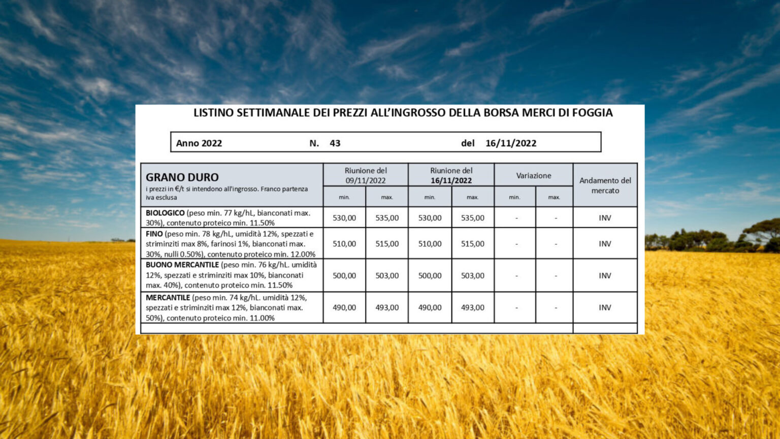 Borsa Merci di Foggia stabili le quotazioni del grano duro del 15