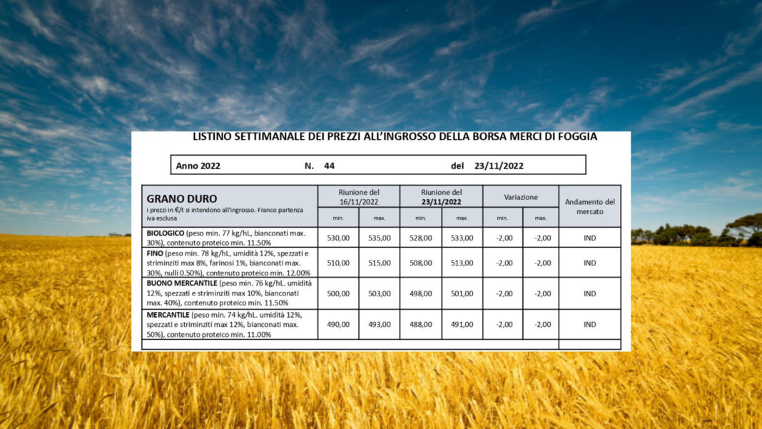 Quotazioni grano duro in calo di 2 euro a tonnellata alla Borsa Merci