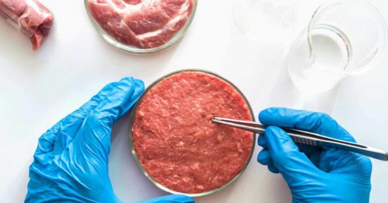 Carne coltivata. La Commissione europea accerta la validità della legge italiana. Lollobrigida, avanti con la pratica