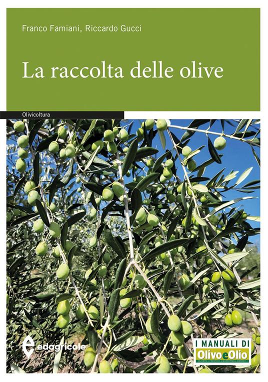 La raccolta delle olive. In un libro tutti i segreti per avere un prodotto di qualità