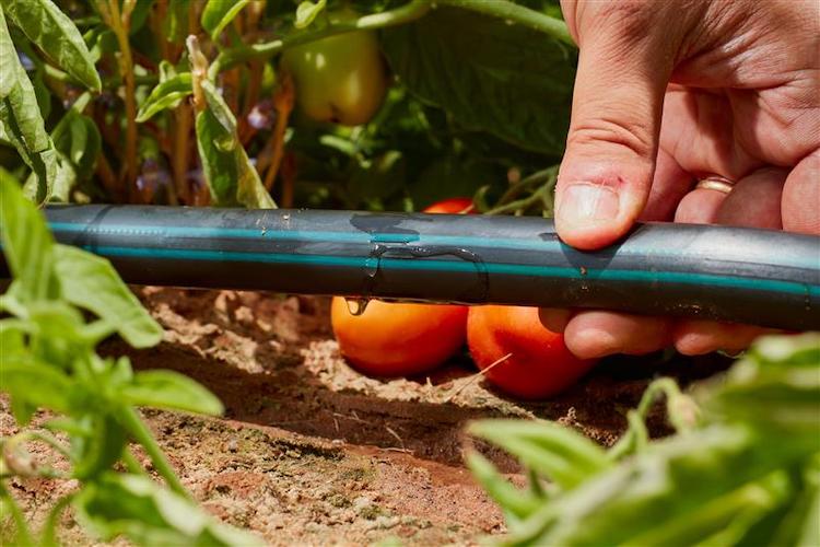 Impianti irrigui, la manutenzione a fine stagione conta. Le soluzioni biocompatibili di Irritec
