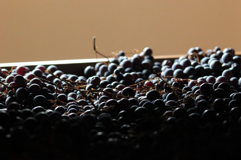Torna Amarone in Capitale: il 7 e 8 maggio a Roma la Valpolicella protagonista