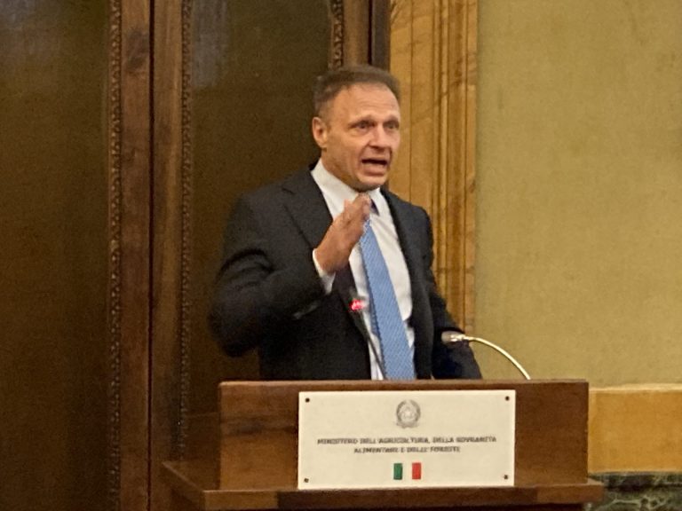 Peste Suina Africana. Lollobrigida, Governo compatto contro la pandemia dei suini