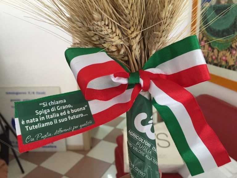 Seminativi. Cia Puglia: No allo slittamento di Granaio Italia, cerealicoltori traditi