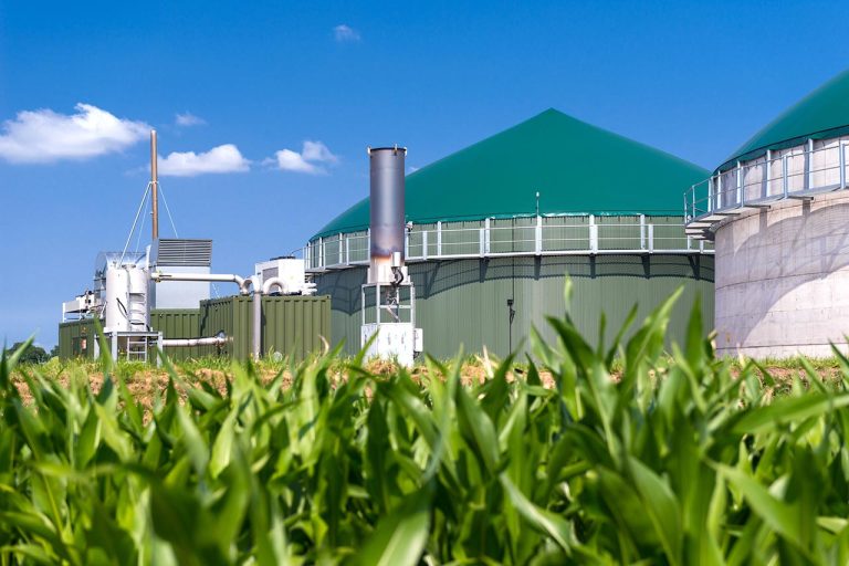 Incentivi al biometano: istruzioni per l’uso. La parola a Roberto Salmaso, general manager di Sebigas