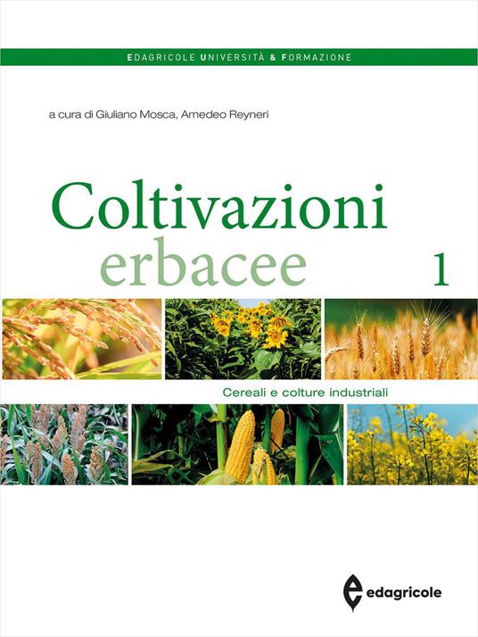 Coltivazioni Erbacee. Cereali e colture industriali