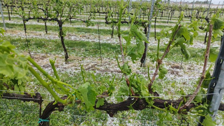 Maltempo. Regione Veneto scrive a Lollobrigida: più risorse al fondo di solidarietà