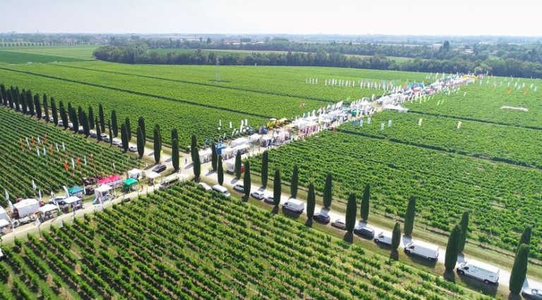 Oltre un miliardo di euro vale l’export delle macchine agricole: il 50% macchine per la viticoltura. Dal 12 al 13 giugno torna Enovitis in campo