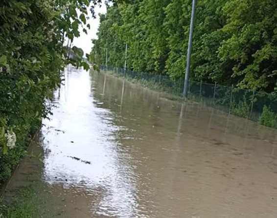Agricoltura Imola, danni incalcolabili. Cia: frutticoltura e seminativi spazzati via