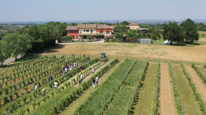 Resil-Vigna, Il vigneto del futuro affronta il cambiamento climatico