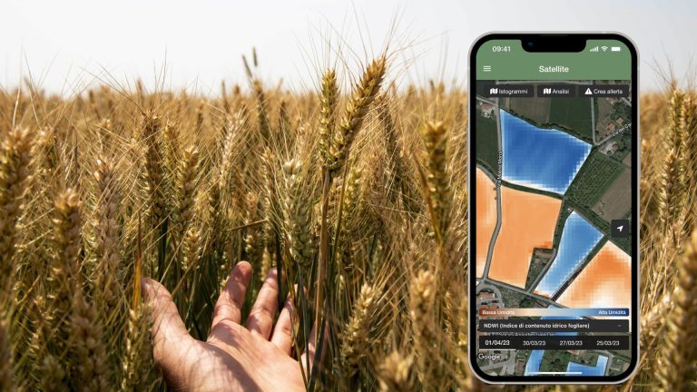 Agricoltura rigenerativa: 32 aziende di Anga-Confagricoltura pioniere del progetto con xFarm Technologies