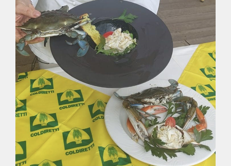 Pesca. La lotta al granchio blu inizia a tavola: dall’insalata alla pasta, ecco i piatti dei pescatori