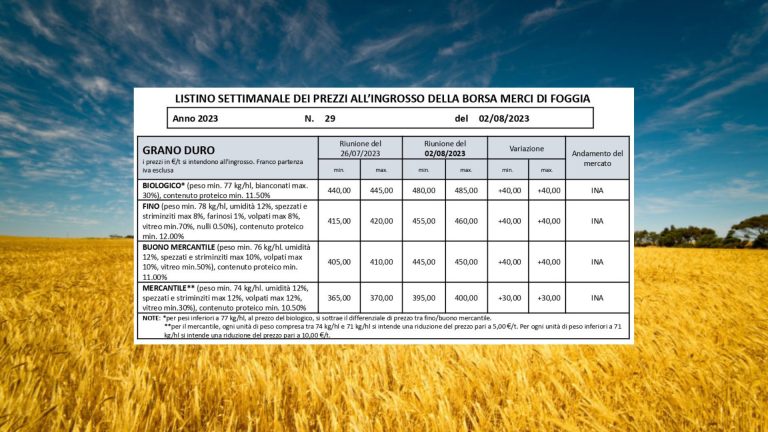 Grano duro: più 40 euro a tonnellata a Borsa Foggia (2 agosto), il Fino arriva a 460 euro. Ma un anno fa valeva 530 euro/t.
