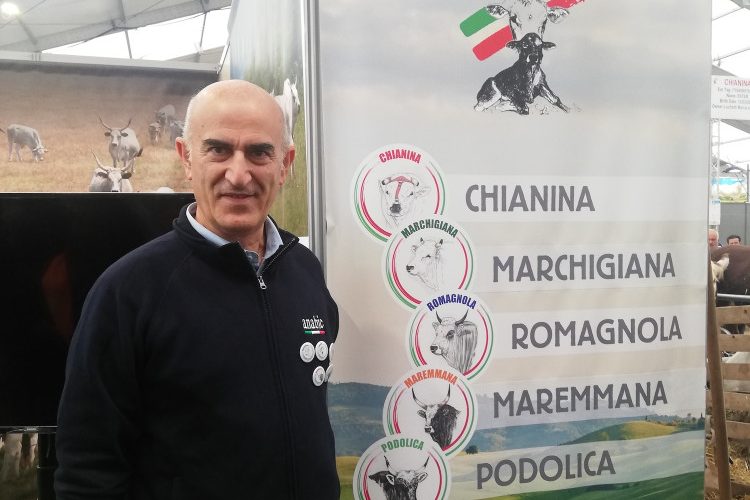 Allevamenti poco sostenibili? Pignani (Anabic): No spreco d’acqua e emissioni ridotte del 14,2%. Basta fake news ma solo dati scientifici
