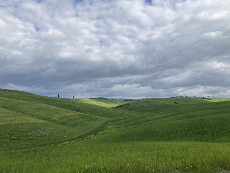 Banca nazionale delle Terre Agricole: lotto permanente incrementato con ulteriori 218 terreni