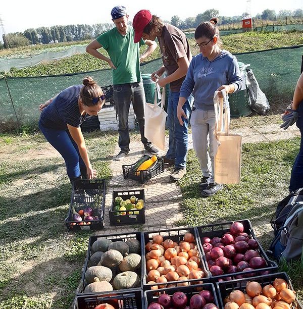Sociale. A Milano nasce Cascina Agrivis, un progetto di agricoltura sociale
