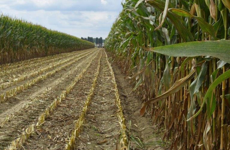 Corteva Agriscience e Bioenerys implementano la sostenibilità del biometano agricolo