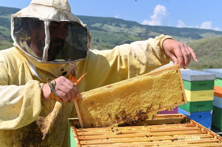 In Liguria 228mila euro per l’apicoltura regionale