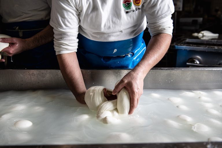 Mozzarella di bufala: a Napoli il 24 e 25 settembre il primo congresso internazionale