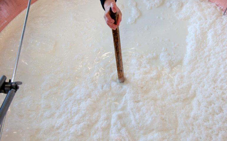 Bilancio in perdita per chi produce latte da Parmigiano Reggiano. Stalle in rosso e la Gdo sorride