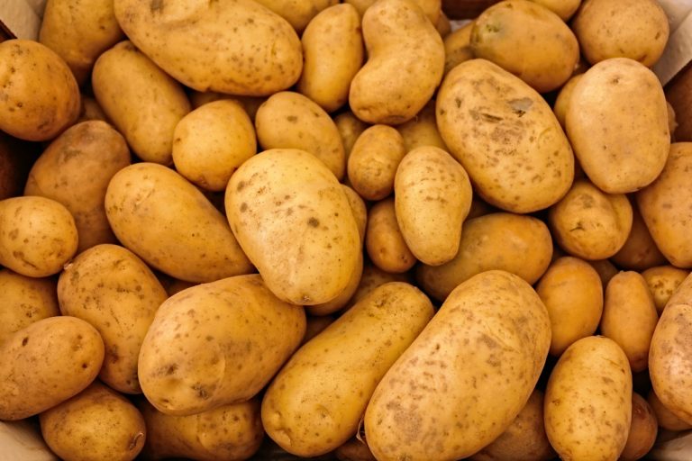 Patate: +10% delle semine, prezzo fino a 0,60 euro/kg per le DOP e +30% in generale. Il punto di Apofruit