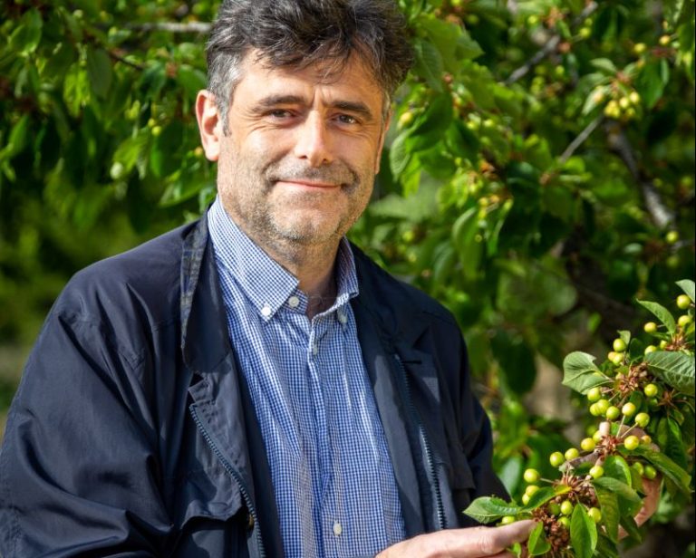 DL Agricoltura. Legacoop Agroalimentare, Bene provvedimento, ora commissario per il Granchio Blu