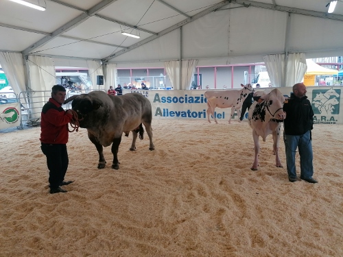 Dal 9 al 10 marzo a Carmagnola (To) torna la Fiera Primaverile, giunta alla 560esima edizione