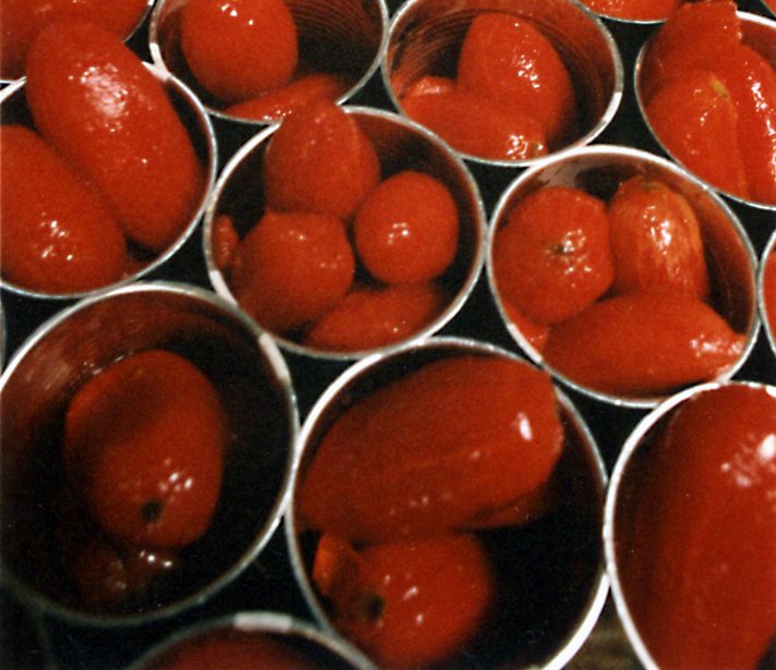 Oltre 5,3 milioni di tonnellate di pomodoro trasformato. Così chiude la campagna 2024