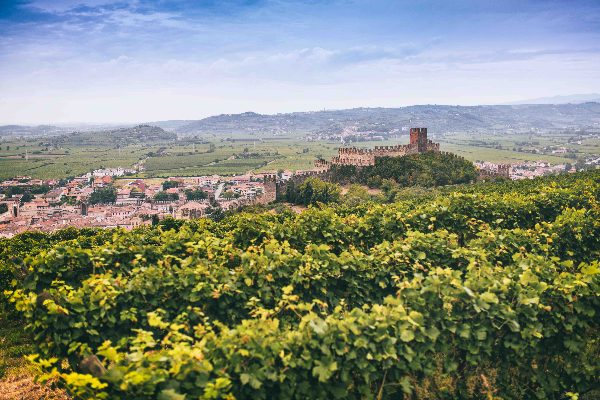 Riduzione delle rese e aumento dei controlli. Così la Doc Soave  lancia un progetto di identità