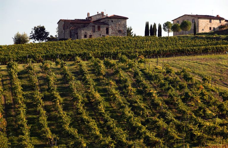 Con le Colline della Pia la Regione Toscana inaugura il settimo biodistretto