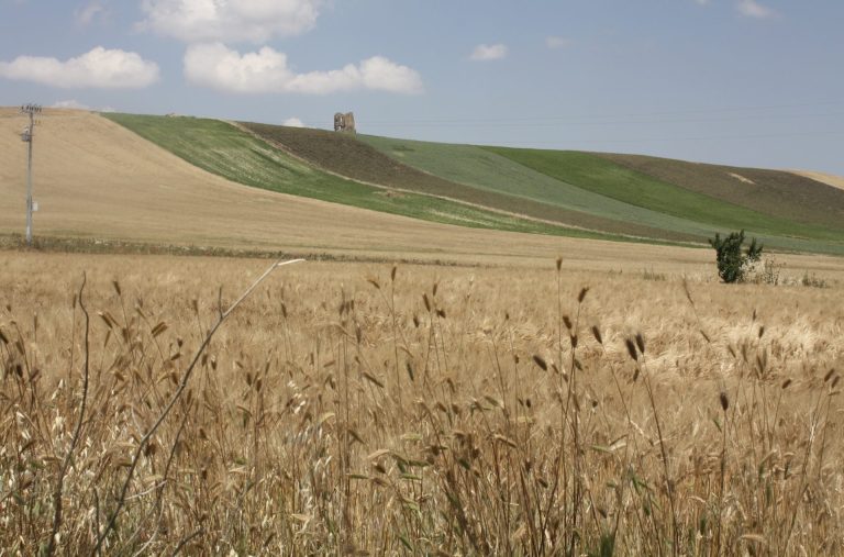 Distretti del cibo, per tutti i gusti. Stanziati 100 milioni di euro con aliquote dal 65% al 100%