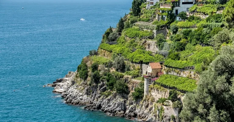 I terrazzamenti di Amalfi entrano nel patrimonio agricolo mondiale FAO
