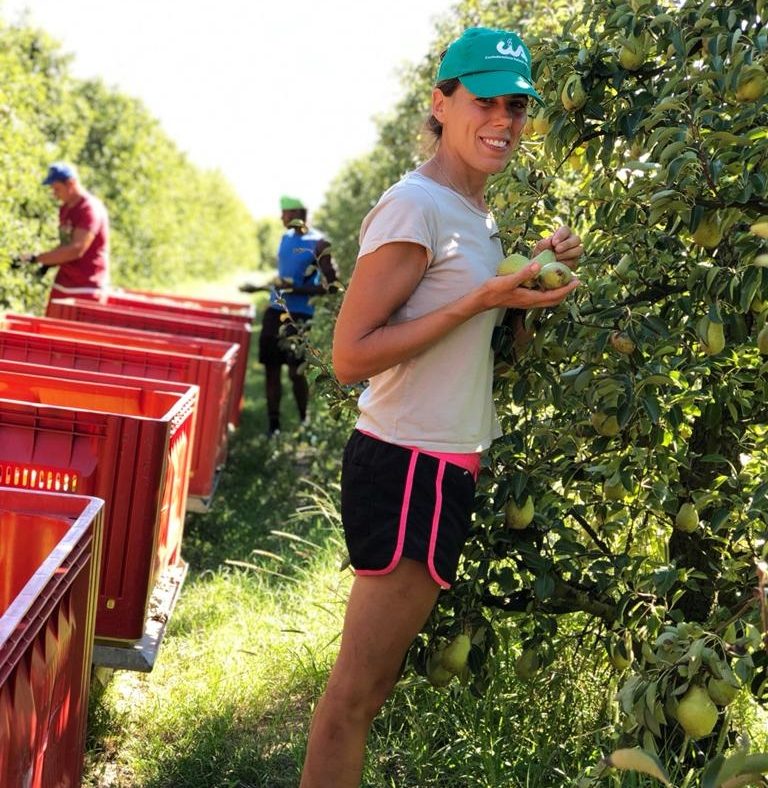 Promuovere la frutta importata come regionale o italiana è una pratica ingannevole. Allarme di Cia Ferrara