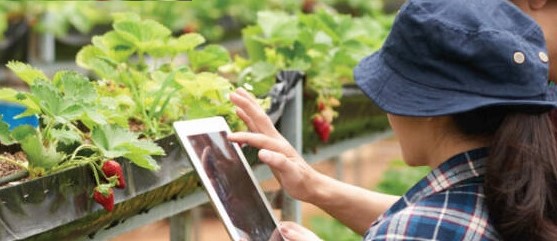 Innovazione: le nuove sfide ed opportunità per le imprese agricole. Convegno Cia Toscana ad Arezzo