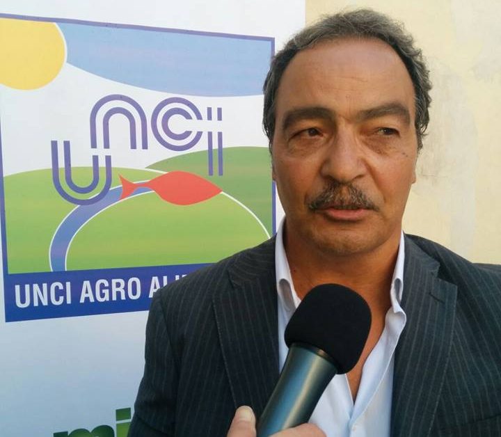 Canapa. Unci Agroalimentare chiede un incontro con Lollobrigida per il settore