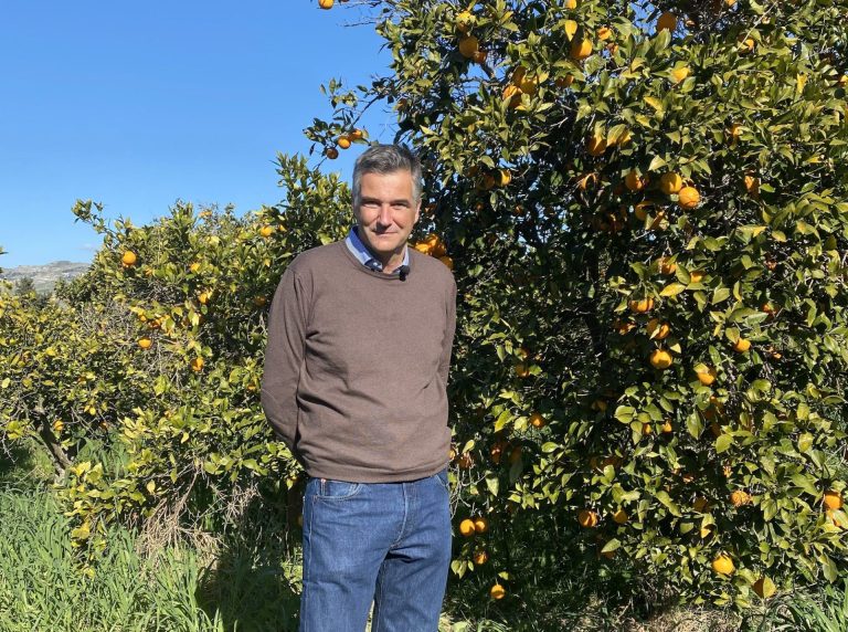 G7 Agricoltura. Anche l’Arancia Rossa di Sicilia Igp tra i protagonisti di Casa Italia