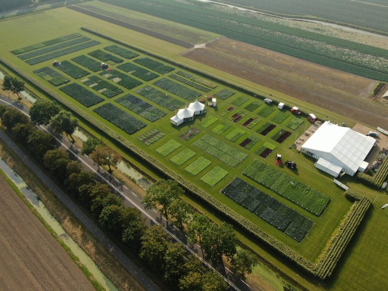 Fields of Innovation 2024. Syngenta: la vetrina globale delle innovazioni per l’orticoltura sostenibile
