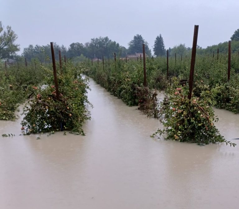 Anche l’Emilia-Romagna rientrerà nel fondo solidarietà di Bruxelles. Decisione nel corso dell’Agrifish