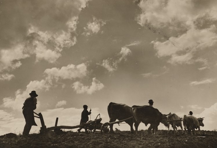 Mondi dimenticati. I Georgofili e la fotografia. Una mostra dal 19 settembre al 18 dicembre