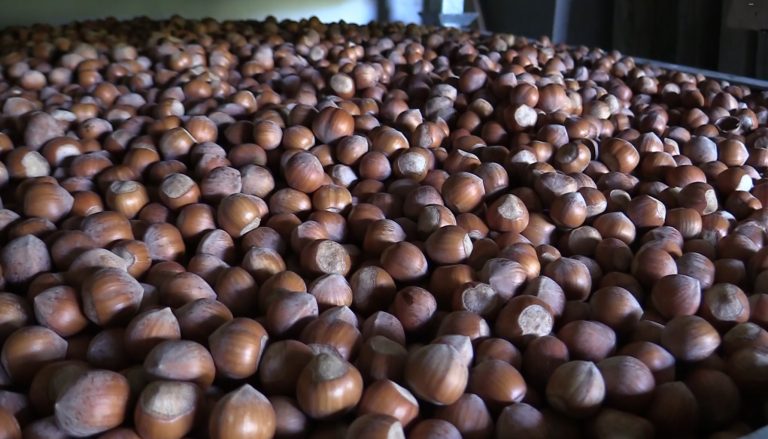 Masaf, da 1 gennaio Ue ha obbligo di indicare origine frutta secca sgusciata