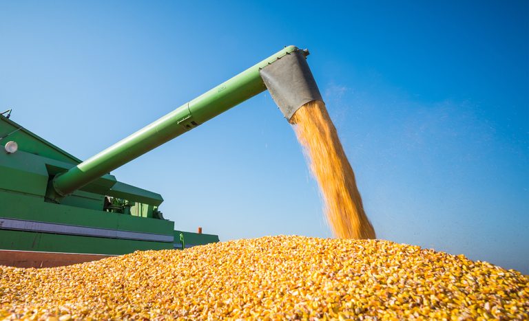 Brasile. La produzione di cereali raggiungerà i 379 milioni di tonnellate nei prossimi dieci anni, crescita del 27%